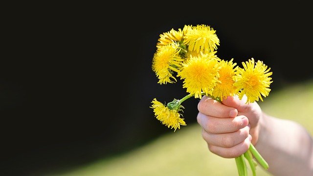 sonhar recebendo flores