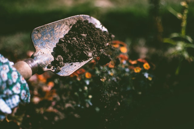 sonhar com terra preta e plantas é bom ou mau pressagio